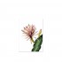 red-cactus-kunstdruck-leo-la-douce-a4.jpg